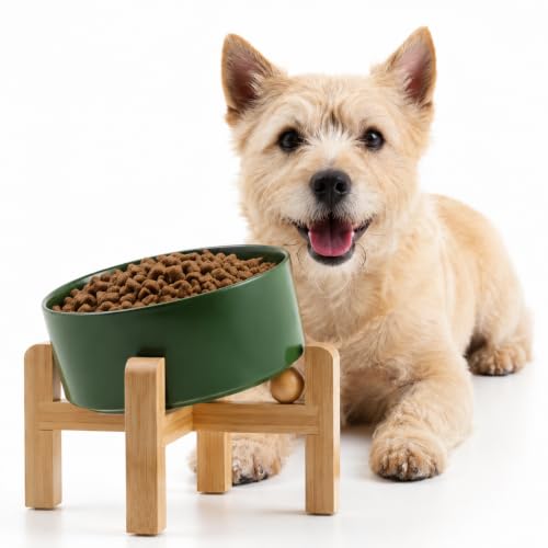 Petygooing Raised/Elevated 15°Slanted Ceramic Dog Bowl for Small Breeds,Tilted Anti Slip Pet Feeding Bowl,Food Water Dish with Stand for Cats and Small Dogs Puppy 13.5 OZ (5.1In / 1.7 Cups)Rust Green - color: Rust Green, size: 1.7 CUPS - Puppy/Small Dogs