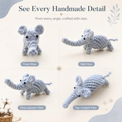 ADUCK Puppy Dog Rope Toy for Teeth Cleaning, Chew-Proof Dental Care & Training Reward | Durable Cotton Heather Gray Elephant for Small & Medium Dogs - color: Grey Elephant