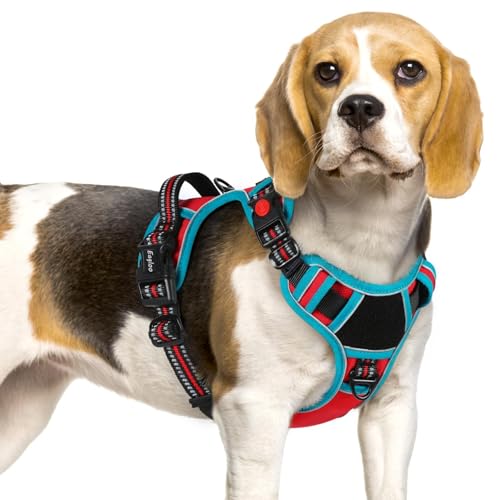 Eagloo Dog Harness Small Sized, Easy Wearing with 3 Buckles, Adjustable No Pull Pet Harness with 2 Rings for Walking, No Chock Reflective Soft Padded Vest with Control Handle, Red & Teal, S - color: Red & Teal, size: Small