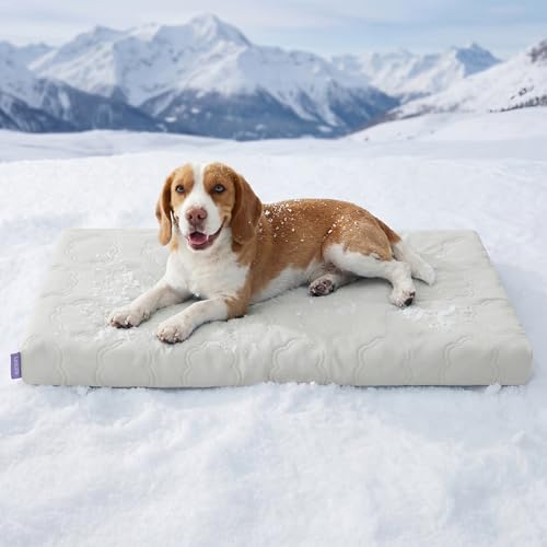 LE SURE ApexCloud™ Cooling Dog Bed for Large Dogs with Washable Cover,35IN | Q-Max>0.5 Cool-Touch Fabric, Orthopedic Egg Crate Foam,Breathable Non-Slip Summer Mat,For Active Senior Long-Haired Pets,Grey - color: Cooling Gray, size: 35x22x2.8