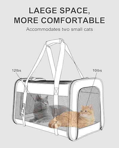 Soft-Sided Large Cat Carrier for 2 Cats, Spacious Foldable Pet Travel Carrier for Large Cats up to 25 Lbs, Double Cat Bag with Shoulder Strap, 20x13x13 Inch, Fits Maine Coon and Small Dogs, Black