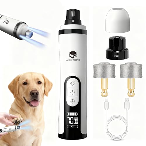 Silent Groom Pro Nail Grinder 2026 New with 2 LED Light & 3-Speed 2000mah Battery Professional Quiet Painless Paws Grooming & Smoothing for Small Medium Large Dog (1+2*Replacement Head LUCKYTROVE)