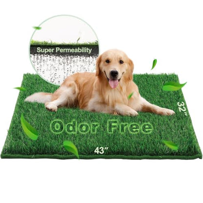 HQ4US 4LEGS Artificial Grass, Dog Pee Grass Pads for Dogs Potty, Odor Free Fake Grass for Dogs X-Large 43”×32” with Countless Drainage Holes, Dog Potty Grass Hemmed Edge Realistic - size: XL for Dog＜ 38" Length
