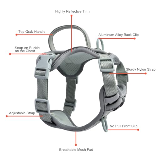 Petmolico No Pull Cute Dog Harness for Small Dogs, with Two Leash Clips and Soft Handle, Reflective Easy Walk Dog Harness- Light Green,Small - color: Light Green, size: Small
