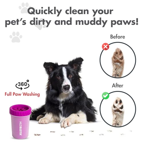 Dexas MudBuster Medium Dog Paw Cleaner, Fuchsia, Fits 1.5"-2.5" Wide Paws, Gentle Silicone Bristles for Quick, Easy Cleaning - color: Fuchsia, size: Medium without Lid