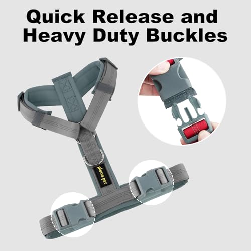 Plutus Pet No Pull Dog Harness, Adjustable Nylon Harness with Soft Padding, Reflective and Heavy Duty Dog Harness for Small, Medium, Large Dogs(Gray, M) - color: Gray, size: M