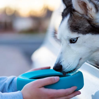 Messy Mutts Silicone Non-Spill Bowl | Dog or Cat Travel Necessity | Splash Less Food/Water Bowl for Pets | Slobber Stopper Water Bowl | 5.25 Cups (Blue) - color: Blue