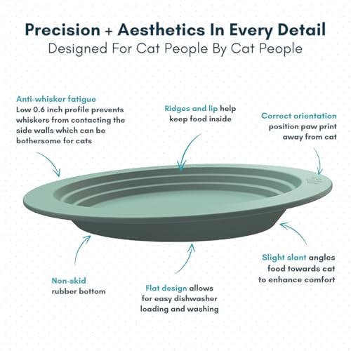 EcoLeo Whisker Friendly Cat Food Dish, Platinum Silicone, CKD, LFGB Certified Non-Toxic, Anti Whisker Fatigue, Low Profile, Shallow, Non Slip, Cat Dog Kitten Feeding Dish_Grey - color: Grey