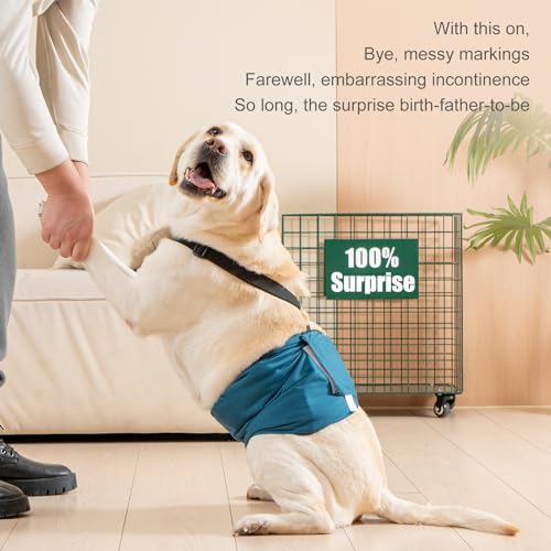 3 Pack Avont Male Dog Belly Band with Suspenders, Reusable Boy Doggie Diaper with Harness, Escape Proof, Non-Slip, Washable Doggy Pee Wraps for Small Medium Large Dogs - color: Black/ Dark Grey/ Navy Blue, size: L