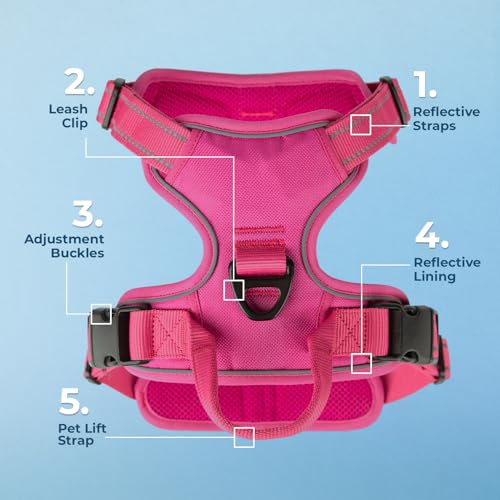 Voyager Dog Harness Dual Leash Attachment No-Pull Control Adjustable Soft but Strong Pet Harness for Medium and Large Dogs with 3M Reflective Technology, Fuchsia Nylon, M (Chest: 20-25") - color: Fuchsia Nylon, size: M (Chest: 20 - 25")