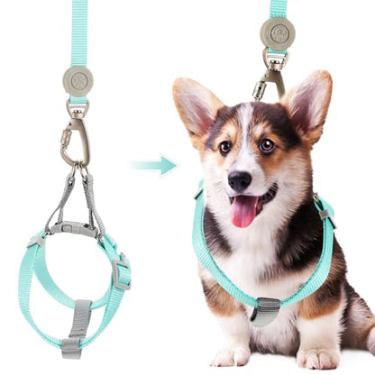 jojofuny Adjustable Escape Proof Dog Harness with Dual D-Shaped Rings, Lightweight Green Medium Pet Harness for Walking and Outdoor Use