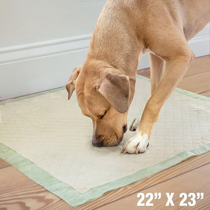 Four Paws Wee-Wee Superior Performance Bamboo Pee Pads for Dogs, Earth Friendly Dog & Puppy Potty Training Pads, Crate Liners, Housebreaking Supplies, 22" x 23" (200 Count) - size: 200 Count