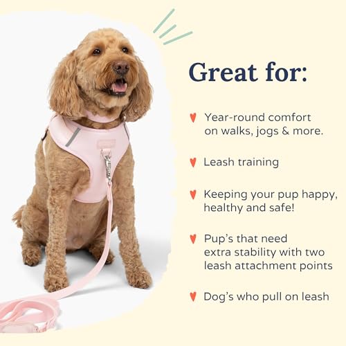 Lucy & Co. The Rosewater No-Pull Dog Harness - Size X-Large - Vest to Stop Pulling & Walk Easy - Comfortable Leash Training Product w/Adjustable Chest & Neck Straps - color: The Rosewater No-Pull Harness, size: X-Large