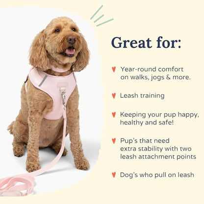 Lucy & Co. The Rosewater No-Pull Dog Harness - Size X-Large - Vest to Stop Pulling & Walk Easy - Comfortable Leash Training Product w/Adjustable Chest & Neck Straps - color: The Rosewater No-Pull Harness, size: X-Large