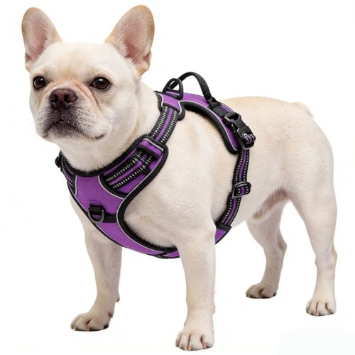 Purple No-Pull Dog Harness with 2 Leash Clips，Soft Padded Vest for Medium Dog, Adjustable Reflective Dog Vest Easy to Put on and Take Off, (Neck: 14"~20", Chest: 21"~27", Purple M) - color: Purple, size: Medium