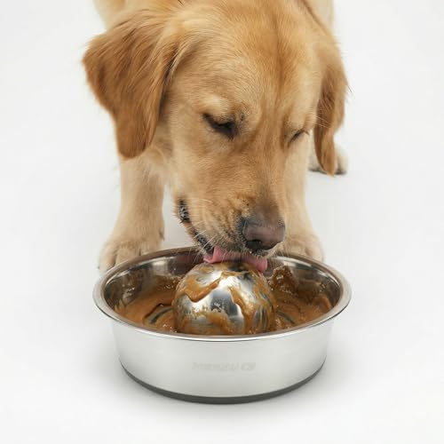 SUS304 Stainless Steel Dog Food Slow Feeder Ball - 3in - Slows Fast Eating, Fun Feeding for All Dogs - Durable, Smooth & High Adaptability (Medium) - size: Medium 3Inch