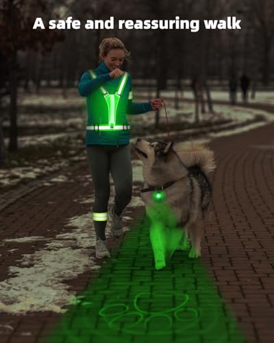 LED Reflective Vest Safety Gear, High Visibility Reflective Running Gear for Dog Walking Running Cycling, Adjustable for Men Women Kids - Reflective Armband and Dog Light with USB Rechargeable - style: Vest and plastics Pet light