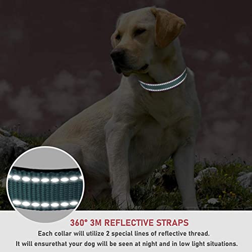 Reflective Dog Collar with Buckle Adjustable Safety Nylon Collars for Small Medium Large Dogs, Grey S - color: Grey, size: Small :Width 5/8",Neck 10-14"