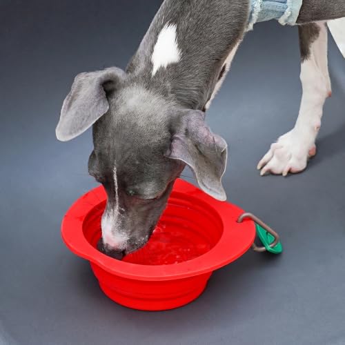 Collapsible Silicone Dog Bowl (Red) - color: Red