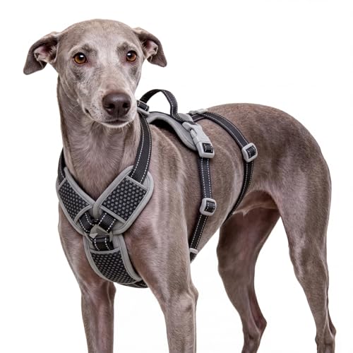 ThinkPet Flexfit 3-Strap Escape Proof Dog Harness, No Pull Front Clip 2-in-1 Vest with Control Handle, 360° Reflective Breathable Adjustable Harness for Greyhound Whippet Vizsla, Small, Black - color: Black, size: Small