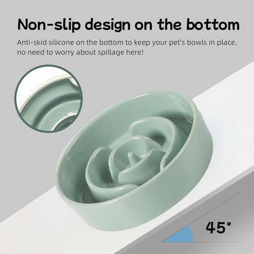 Havniva Ceramic Slow Feeder Dog Bowls, 0.9 Cups Dog Bowl Slow Feeding for Small Breed, 6.1inch Puzzle Dog Food Bowl Slow Feeder Non-Slip Anti-Gulping and Anti-Choking Reduces Bloating - color: 1 x Light Green-A, size: 6.1inch-New