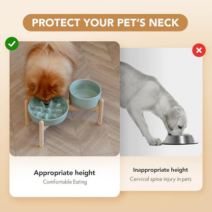 Havniva 7.3” Raised Slow Feeder Dog Bowls Set, 1.2 Cups Ceramic Slow Feeder Dog Bowl and 6.1” Dog Water Bowl with Elevated Wooden Stand Puzzle Dog Food Bowl for Small Dogs Anti-Gulping & Anti-Choking - color: 2 x Light Green+Stand-C, size: 7.3inch