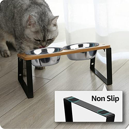 AYADA Elevated Cat Bowls, Height Adjustable Raised with Stand Lifted Ergonomic Anti Vomiting Non Slip Slanted Tilted Double Bowls Food Water Stainless Steel - color: Stainless Steel