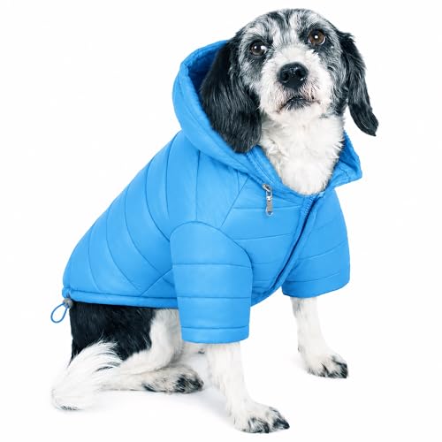 Pet Life ® Sporty Avalanche Lightweight Adjustable Folding Fall and Winter Dog Coat Jacket with Concealed Zippered Pop-Out Hood - color: Blue, size: X-Small