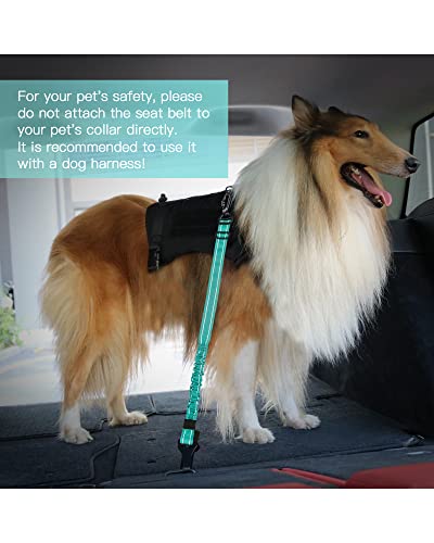 AUBELL Dog Seat Belt for Car,Updated 3-in-1 Adjustable Reflective Bungee Heavy Duty Dog Car Harness Tether with Clip Hook Latch & Buckle,Swivel Zinc Alloy Carabiner,Teal - color: Teal