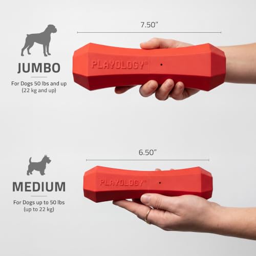 Playology Dog Toys | Squeaky Chew Stick for Large Dogs | Beef Scented Jumbo Fetch Toy | Squeaky Dog Chew Toy - size: Jumbo, style: Beef