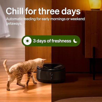 PETLIBRO Automatic Wet Food Cat Feeder 2026 New Version with Semiconductor Cooling, Refrigerated 3 Fresh Meals in 3 Days, App-Controlled Pet Food Dispenser, Stainless Steel Bowl, Easy to Clean - color: Black, size: Feeder