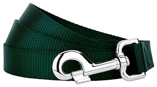 Country Brook Petz - Vibrant 17 Color Selection - Heavyduty Doublehandle Nylon Leash (6 Foot, 3/4 Inch Wide, Green) - color: Green