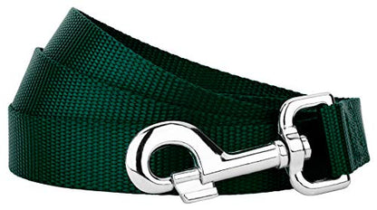 Country Brook Petz - Vibrant 17 Color Selection - Heavyduty Doublehandle Nylon Leash (6 Foot, 3/4 Inch Wide, Green) - color: Green