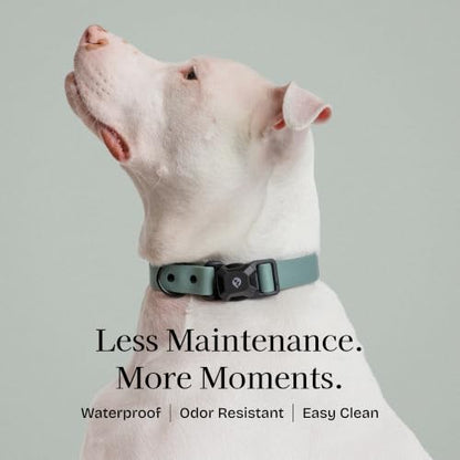 Fei & Eve VERO Dog Collar, Glacier Green, Large | MagEase Magnetic Buckle, Waterproof PVC, Odor Resistant, Easy Clean, Heavy Duty - color: Glacier Green, size: L