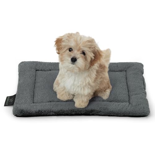 BOWHAUS 20.8" x 15” Machine-Washable Fluffy Dog Bed for 24" Kennel, Soft Crate Mat with Non-Slip Bottom, Cozy Pet Pad for Sleeping, Small Dog Kennel Flat Bed - size: 20.8" x 15" x 1.2"