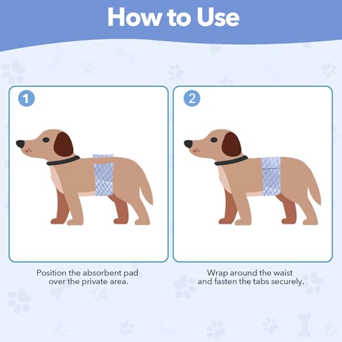 Male Dog Diaper Disposable Wraps for Waist 24–29.5 in,22 Count Leakproof, Super Absorbent, Adjustable Fit, Wetness Indicator, XL - size: Male 22ct Waist 24~29.5in(XL)
