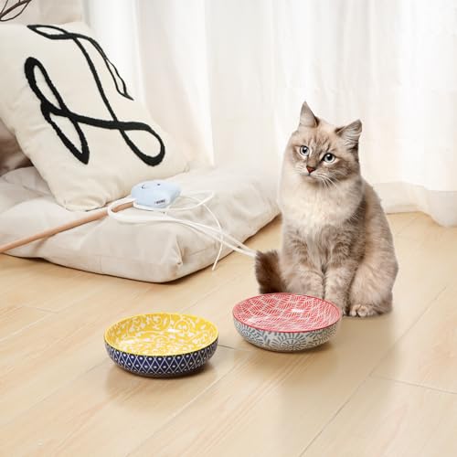 Selamica 세라믹 고양이 사료 그릇 4개 세트, 14cm(5.6인치) 너비의 얕은 고양이 그릇/음식과 물용 접시, 다양한 색상 - color: 다양한 색상, size: 5.6 Inch, Set of 4