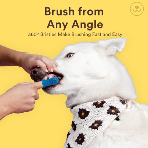 Jasper Large Dog Toothbrush, 360 Degree Pet Tooth Brushing Kit, Cat Toothbrush, Canine Dental Care & Teeth Cleaning Kit, Pet Finger Tooth Brush, Use with Dog Toothpaste, 2-Pack Navy-Blue Large - color: Large Navy Blue (2-pack)