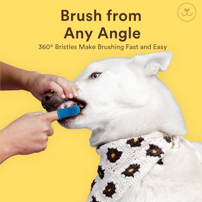 Jasper Large Dog Toothbrush, 360 Degree Pet Tooth Brushing Kit, Cat Toothbrush, Canine Dental Care & Teeth Cleaning Kit, Pet Finger Tooth Brush, Use with Dog Toothpaste, 2-Pack Navy-Blue Large - color: Large Navy Blue (2-pack)