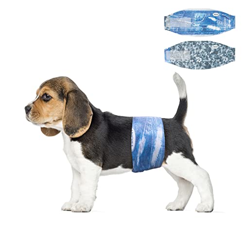 Dono Dog Diapers Male Disposable Male Dog Wraps, Wider Doggie Puppy Diapers Male Belly Bands, Super Absorbent, Leak-Proof Fit, Excitable Urination, Incontinence, X-Small 48ct - size: X-Small (6-13inch)