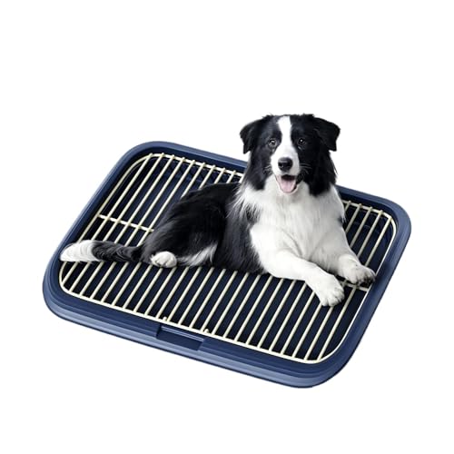 Dog Potty Tray Indoor Pet Pee Pad Holder for Small & Medium Dogs, Puppy Training Pad Holder, Pet Toilet Litter Box, Dog Bathroom Tray, Housebreaking Potty Supplies 17.72''LX12.99''WX1.97''H(Blue) - color: Blue