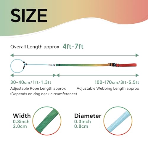 QQPETS Adjustable Slip Lead Dog Leash, Hands Free Waist Leash for Dog Walking, Reflective Training Lead with 360° Swivel Anti-Tangle, 4-7 ft Length for All Breeds - color: Vibrant Gradient