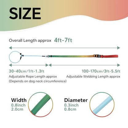 QQPETS Adjustable Slip Lead Dog Leash, Hands Free Waist Leash for Dog Walking, Reflective Training Lead with 360° Swivel Anti-Tangle, 4-7 ft Length for All Breeds - color: Vibrant Gradient