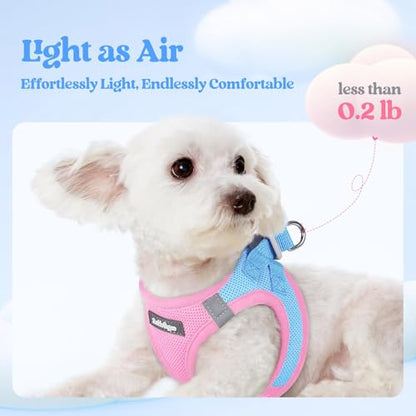 rabbitgoo Dog Harness Small Sized and Leash Set, Step in Soft Light Puppy Vest, Breathable Mesh Pet Harness, Reflective for Safe Easy Walking, Blue & Light Pink XXXS - color: Blue & Light Pink, size: Xxxs (chest: 10.8 - 11.8")