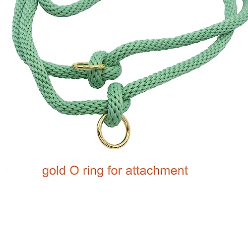 7FT Hands Free Dog Leash, Waist Dog Leash for Walking Running - color: Jade