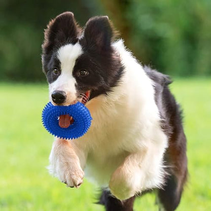 Dog Toys Squeaky - Spiky Ring for Chewers Dog Teething Toy with Rope, Squeaky Puppy Teething Spikey Glitter Ring Chew Toy, Aggressive Chew Indestructible for Puppy Teething Boredom Relief (Blue) - color: Blue