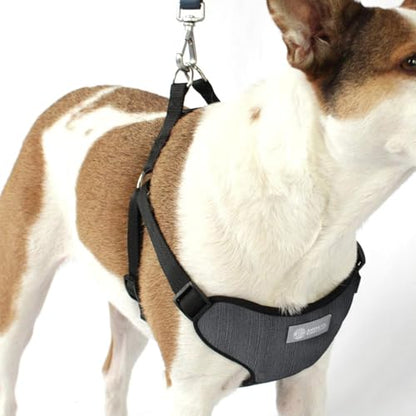 AKC Striped Step-in Dog Harness – No Pull Adjustable Vest with Dual D-Rings, Easy On/Off – Small, Medium & Large Sizes in Black, Gray, Navy & Red - color: Black, size: Medium