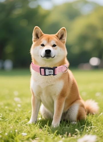 THAIN Smart QR Code Dog Collar-Nylon & Velvet Pet Collar with Unique ID Registration, Adjustable Plastic Buckle for Medium Dogs–Black, Red, Pink, Yellow (Pink, M) - color: Pink, size: M