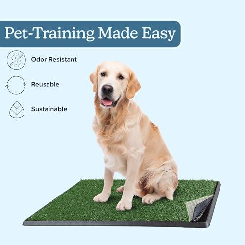 Artificial Grass Puppy Pee Pad for Dogs and Small Pets - 20x30 Inch, Reusable 4-Layer Turf Pads for Dogs with Tray - Indoor and Outdoor Fake Grass Potty Pet Supplies by PETMAKER - size: Large 4-Layer System
