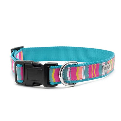 THE WORTHY DOG Spring Holiday Fiesta Stripe Dog Collar – Durable Nylon, Woven Ribbon, Quick-Release Buckle, Nickel D-Ring – Teal, Small - color: Fiesta Stripe - Teal, size: Small